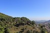 IMG_0109