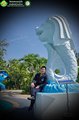POL_5847